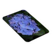 Rustikale Lila Hydrangea makrophylla Magnet (Rechte Seite)