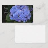 Rustikale Lila Hydrangea makrophylla Mitteilungskarte (Vorne/Hinten)