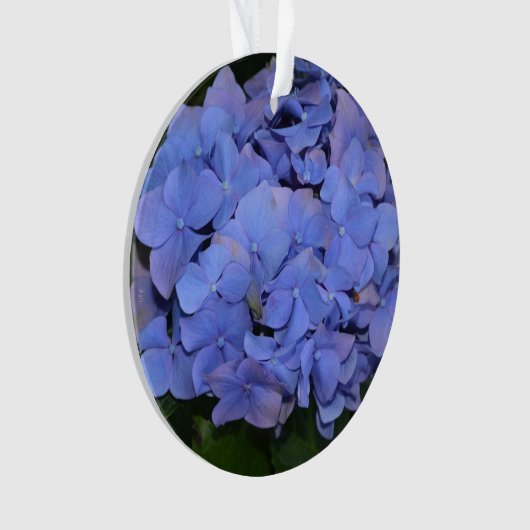 Rustikale Lila Hydrangea makrophylla Ornament (Vorderseite)