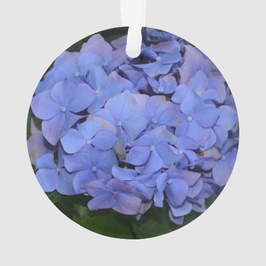 Rustikale Lila Hydrangea makrophylla Ornament (Rückseite)