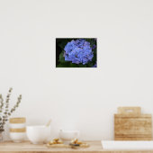 Rustikale Lila Hydrangea makrophylla Poster (Küche)