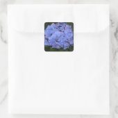Rustikale Lila Hydrangea makrophylla Quadratischer Aufkleber (Tasche)