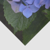 Rustikale Lila Hydrangea makrophylla Seidenpapier (Detail)
