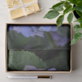 Rustikale Lila Hydrangea makrophylla Seidenpapier (Geschenk)