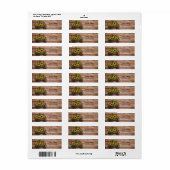 Rustikale moderne Sonnenblumenspülung Babydusche (Vorne)