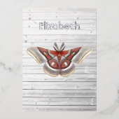 Rustikale Mottenfolie Folieneinladung (Vorderseite)