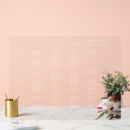 Rustikale n Boho bläserne Sitze Übersicht SW Acrylschild (Hochzeit)