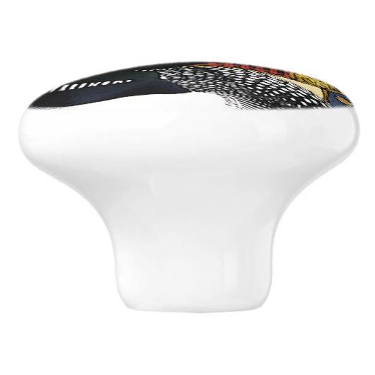 Rustikale North Woods Wilderness Loon Keramikknauf (Seitenansicht)