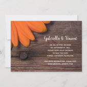 Rustikale Orange Daisy Barn Wedding Save the Date (Vorderseite)