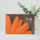 Rustikale Orange Daisy Barn Wood Wedding RSVP Card Karte (Stehend Vorderseite)