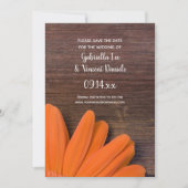Rustikale Orange Daisy Country Wedding Save the Da Date (Vorderseite)