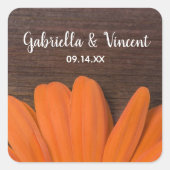 Rustikale Orange Daisy und Barnholz Country Weddin Quadratischer Aufkleber (Vorderseite)