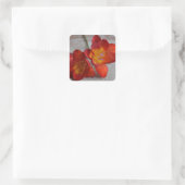 Rustikale Orange Freesia Blume Stickers (Tasche)