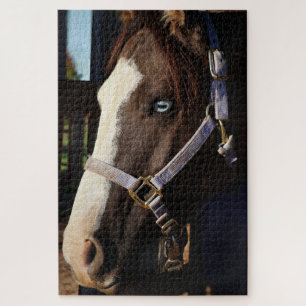 Rustikale Pferdefotografie-Puzzle - Originalfoto Puzzle