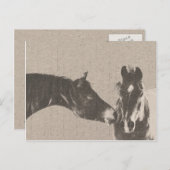 Rustikale Pferdeköpfe Postkarte (Vorne/Hinten)