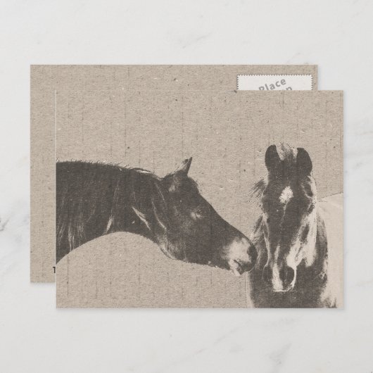 Rustikale Pferdeköpfe Postkarte (Vorne/Hinten)