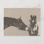 Rustikale Pferdeköpfe Postkarte (Vorderseite)