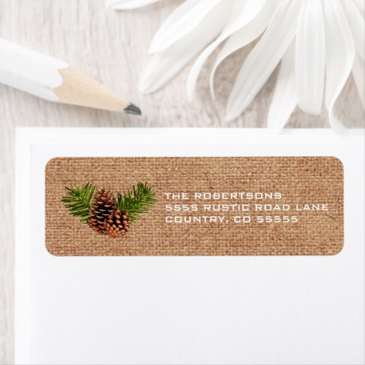 Rustikale Pinecone und Zweige (Insitu)