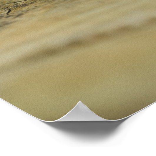 Rustikale Pinecones auf Wälder Natur Stillleben Fo Poster (Ecke)