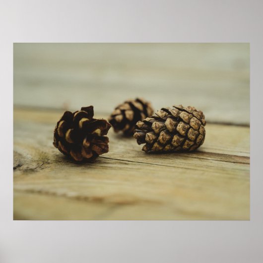 Rustikale Pinecones auf Wälder Natur Stillleben Fo Poster (Vorne)