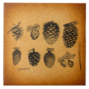 Rustikale Pinecones Pine Cone Kunst, Dichtung und  Fliese