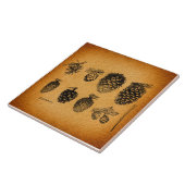 Rustikale Pinecones Pine Cone Kunst, Dichtung und  Fliese (Seite)