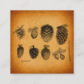 Rustikale Pinecones Pinecones Pinecone Cone Artwor Begleitkarte (Vorderseite)