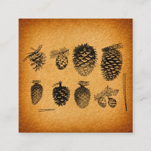 Rustikale Pinecones Pinecones Pinecone Cone Artwor Begleitkarte (Vorderseite)