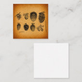 Rustikale Pinecones Pinecones Pinecone Cone Artwor Begleitkarte (Vorne/Hinten)