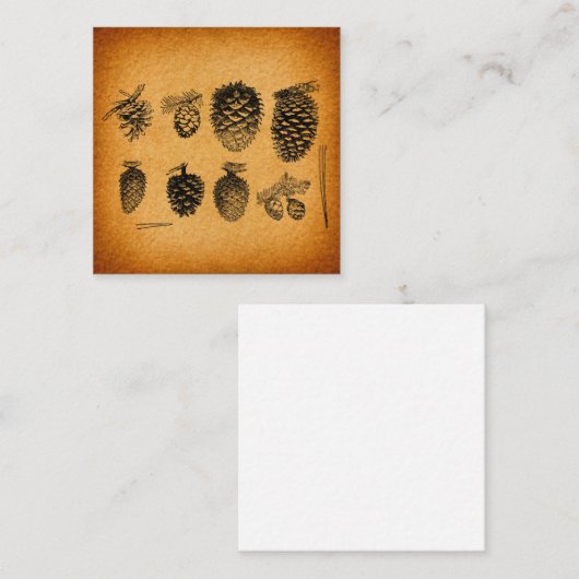 Rustikale Pinecones Pinecones Pinecone Cone Artwor Begleitkarte (Vorne/Hinten)