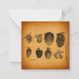 Rustikale Pinecones Pinecones Pinecone Cone Artwor Mitteilungskarte