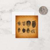 Rustikale Pinecones Pinecones Pinecone Cone Artwor Mitteilungskarte (Vorderseite/Rückseite Beispiel)