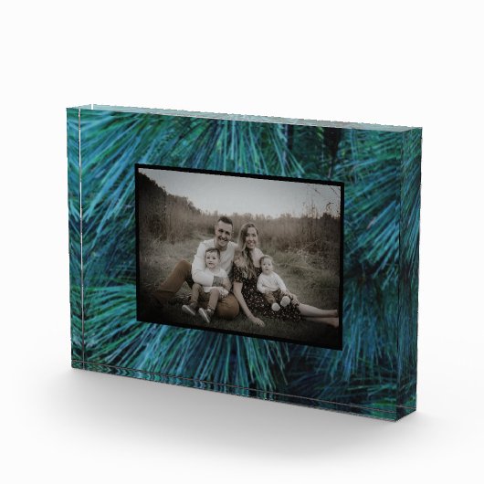 Rustikale Pinienwälder, immergrün Fotoblock (Rechts)