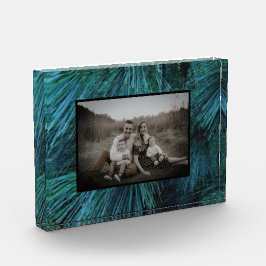 Rustikale Pinienwälder, immergrün Fotoblock