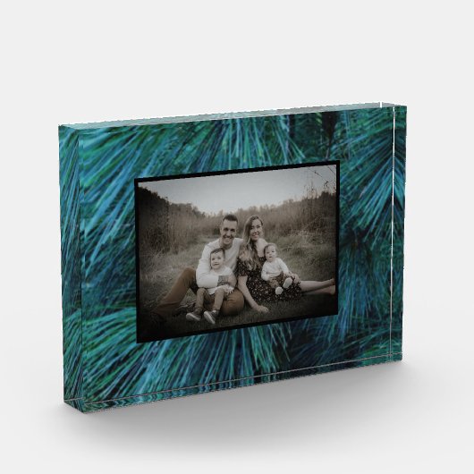 Rustikale Pinienwälder, immergrün Fotoblock (Links)