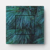 Rustikale Pinienwälder, immergrün Fotoplatte (Vorderseite)