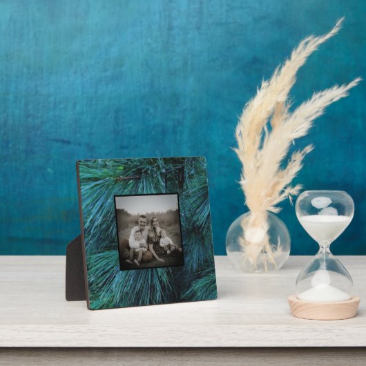 Rustikale Pinienwälder, immergrün Fotoplatte (InSitu)