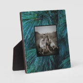 Rustikale Pinienwälder, immergrün Fotoplatte (Vorderseite)