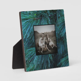 Rustikale Pinienwälder, immergrün Fotoplatte