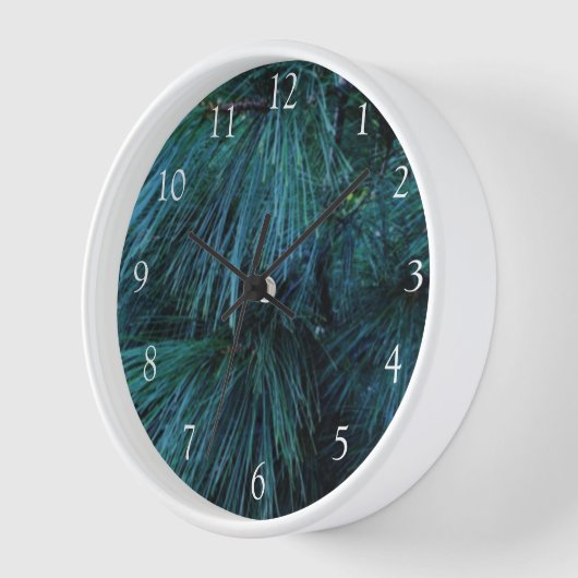 Rustikale Pinienwälder, immergrün Uhr (Winkel)