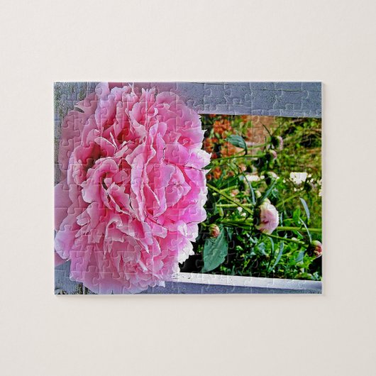 Rustikale Pink Peony Garden Pickets Puzzle (Horizontal)