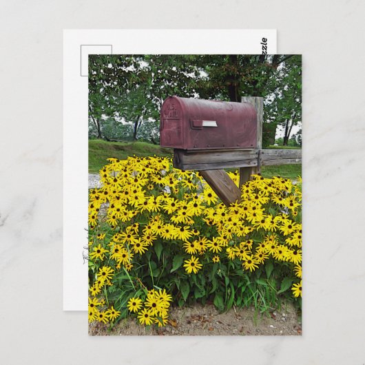 Rustikale Postfach Kunst Postkarte (Vorne/Hinten)