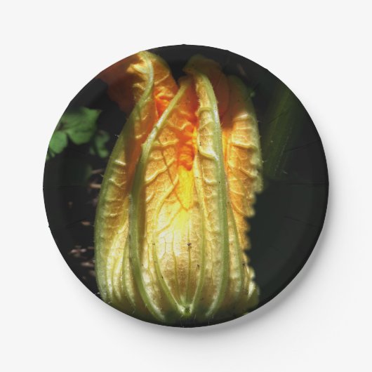 Rustikale, Pumpkin Blossom Custom Paper Teller (Vorderseite)