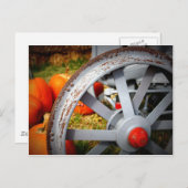 Rustikale Pumpkins Postkarte (Vorne/Hinten)