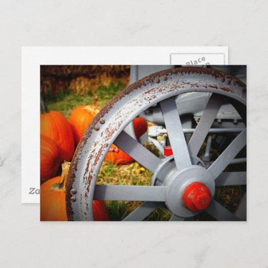 Rustikale Pumpkins Postkarte (Vorne/Hinten)