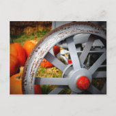 Rustikale Pumpkins Postkarte (Vorderseite)