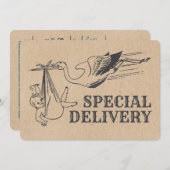 Rustikale Retro Style Stork Baby Dusche Einladung (Vorne/Hinten)