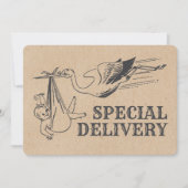 Rustikale Retro Style Stork Baby Dusche Einladung (Vorderseite)