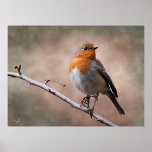 Rustikale Robin Print Poster (Vorne)