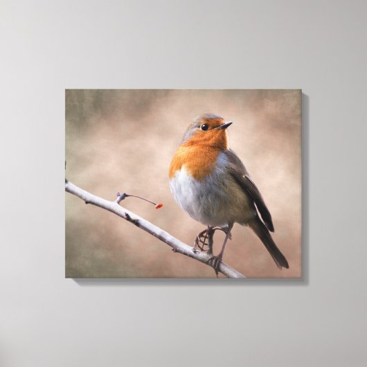 Rustikale Robin Wrapped Canvas Print Leinwanddruck (Vorderseite)